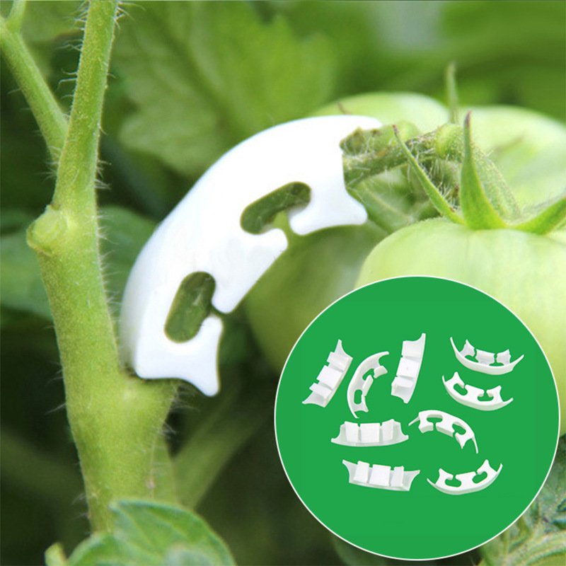 Plant Parent Tools - 50/100pcs Botany-stem Vine Strapping Clips Garden