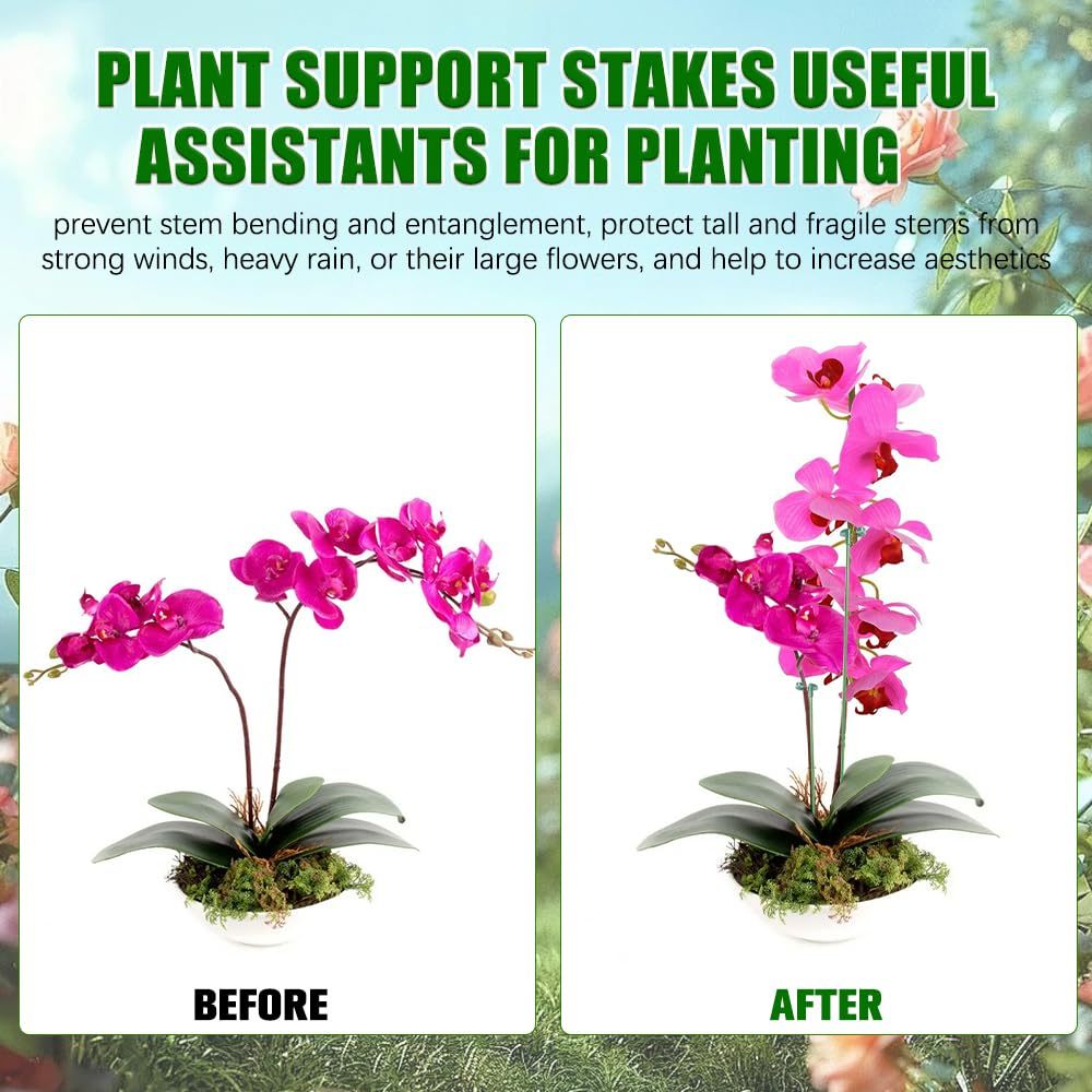 5/10PCS Plant Supports Stand B - Plant Parent Tools review and price