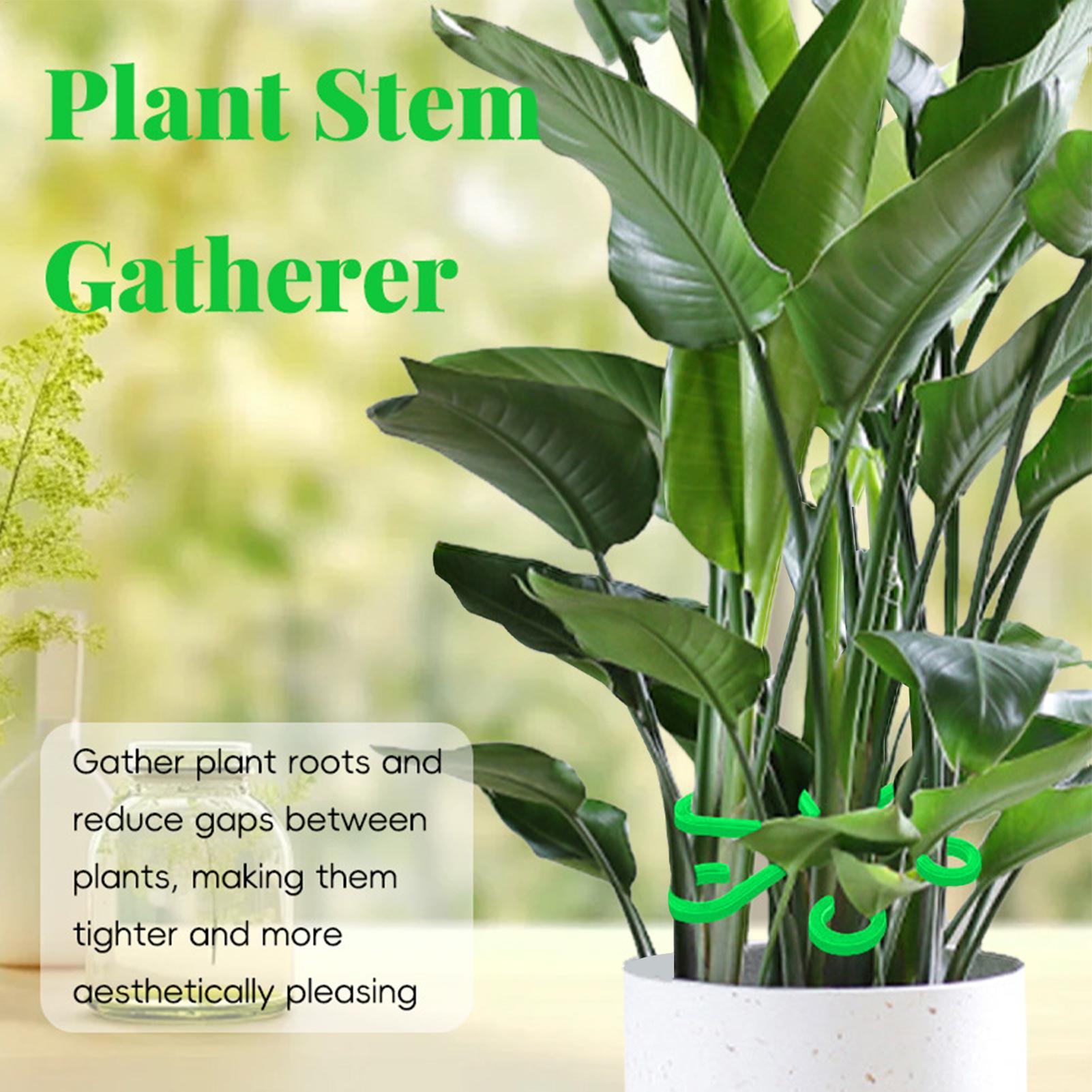 4pc Plant Fixing Clip Plant Cl - Plant Parent Tools review and price