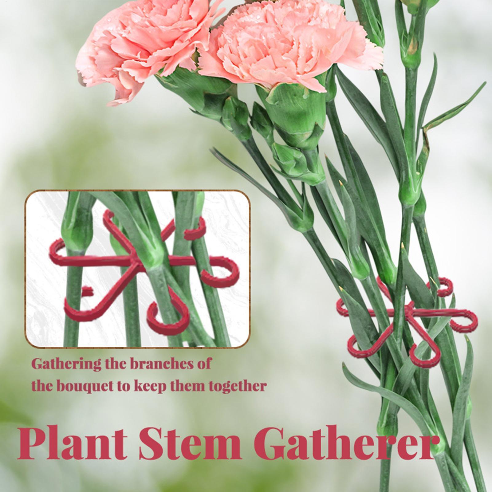 4pc Plant Fixing Clip Plant Cl - Plant Parent Tools review and price