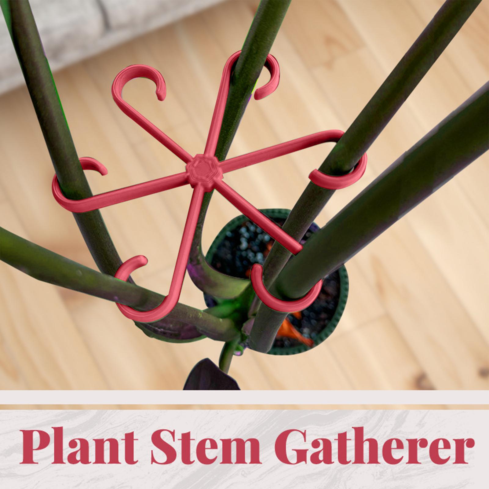 4pc Plant Fixing Clip Plant Cl - Plant Parent Tools review and price