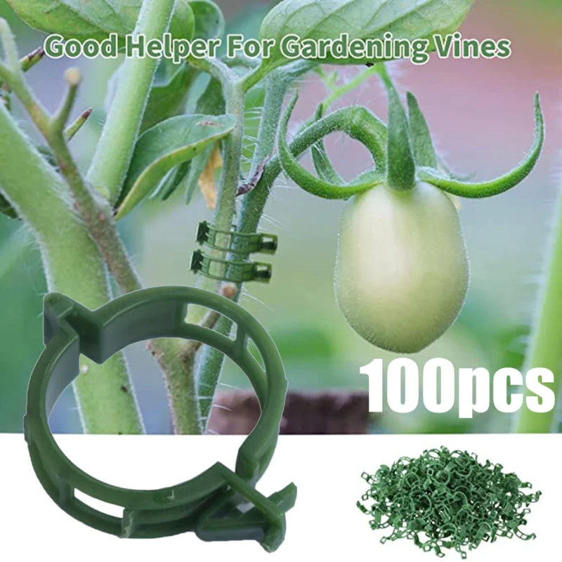 100 PCS/ Plant Support Clip Pl - Plant Parent Tools review and price