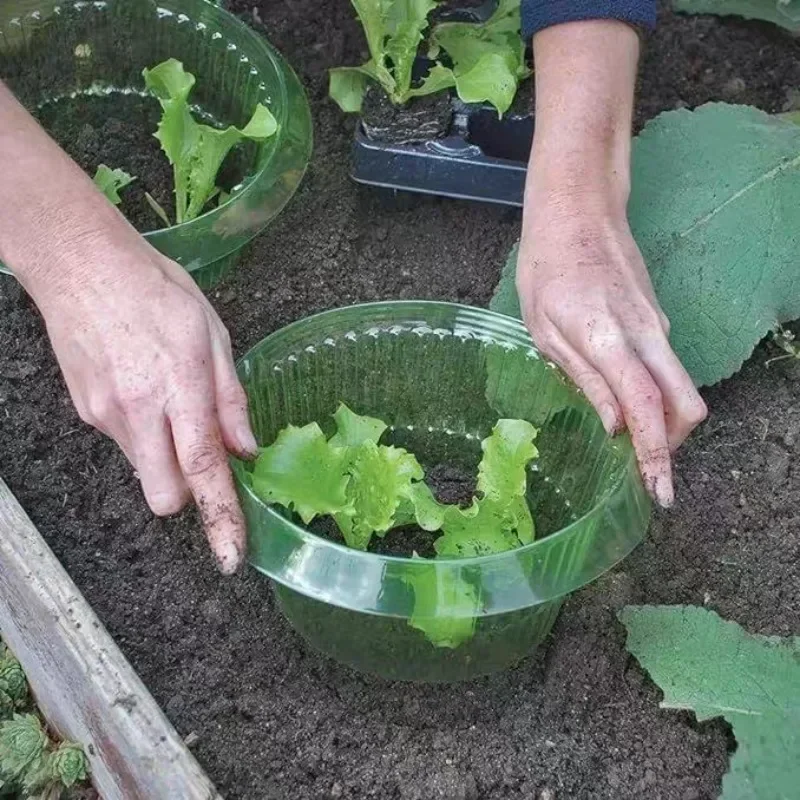 Plants Slug Protection Rings V - Plant Parent Tools review and price