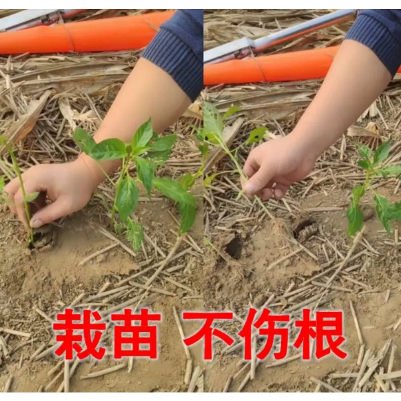 Agricultural Seedling Transpla - Plant Parent Tools review and price