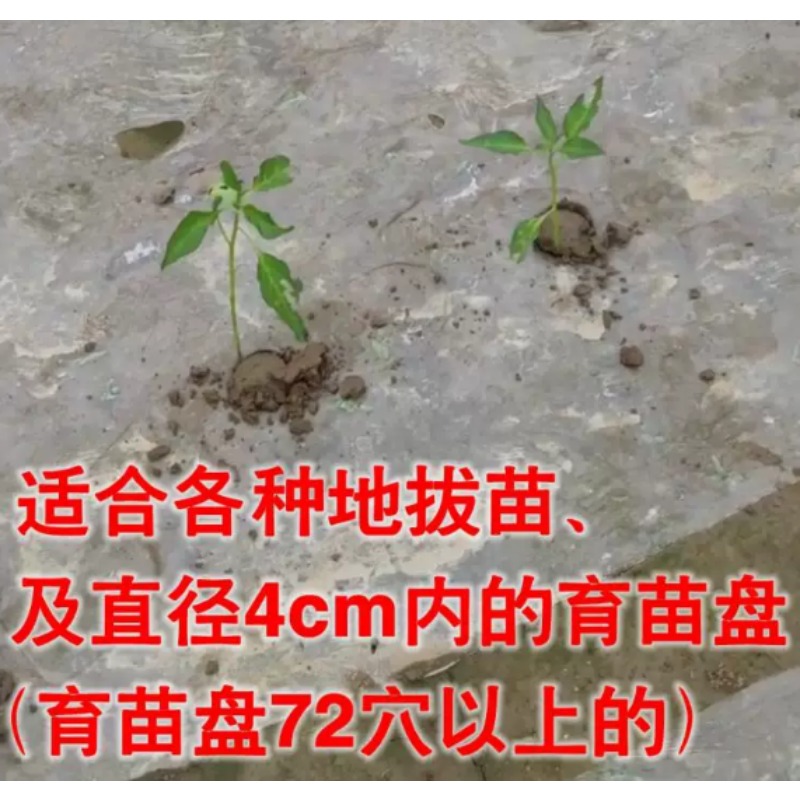 Agricultural Seedling Transpla - Plant Parent Tools review and price